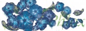 ID 048017