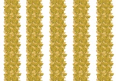 ID 048007