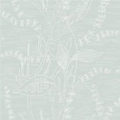 ECO Arkiv Engblad