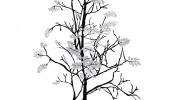 Urban Nature Mr Perswall