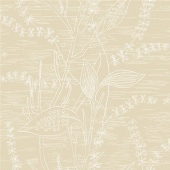 ECO Arkiv Engblad