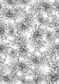 ID 048002