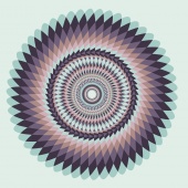ID 061017