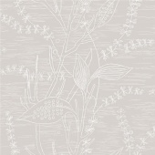 ECO Arkiv Engblad