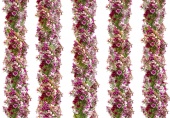 ID 048012