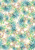 ID 048001