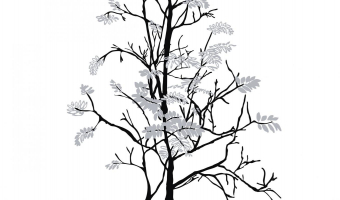 Urban Nature Mr Perswall