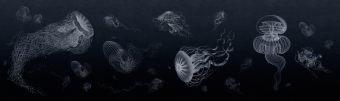 ID 072005