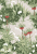 Borastapeter Scandinavian designers Borastapeter Scandinavian designers