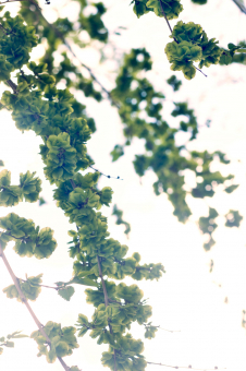 ID 048014