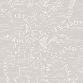 ECO Arkiv Engblad