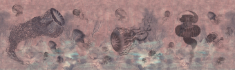 ID 072006