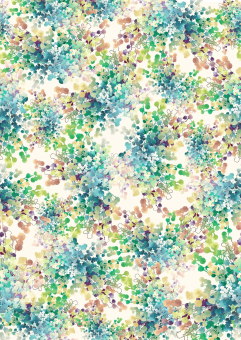 ID 048001