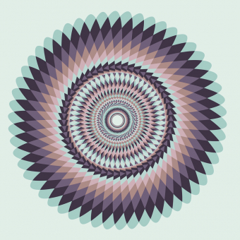 ID 061017