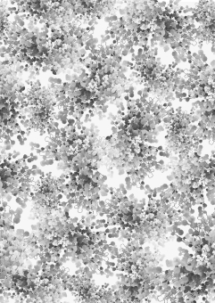 ID 048002