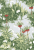 Borastapeter Scandinavian designers Borastapeter Scandinavian designers