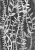 ID 048020