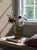 Обои коллекция Chalk ( с англ. МЕЛ) арт.5061 Обои коллекция Chalk ( с англ. МЕЛ) арт.5061