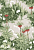 Borastapeter Scandinavian designers